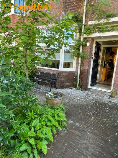 850m van wedren (70m van de appie) - Benedenwoning 850m van wedren (70m van de appie) - Benedenwoning