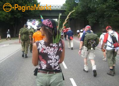 4Daagse volpension 