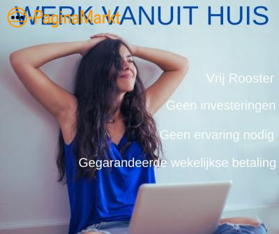 Werk van thuis uit als online moderator